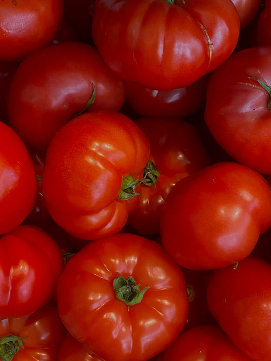 Tomates grosse à farcir (kg)