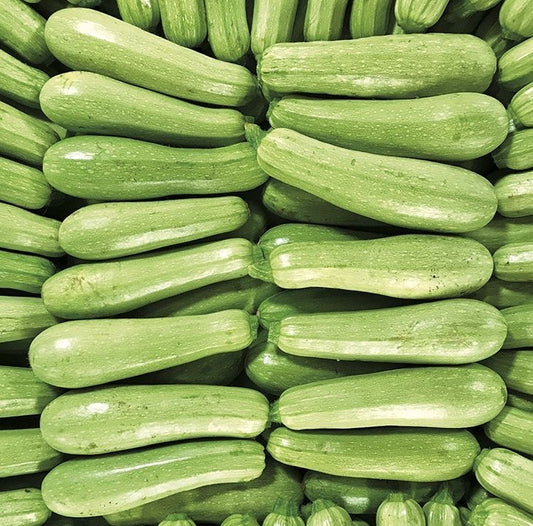 Courgette Blanche (kg)