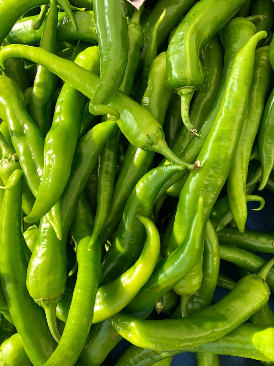 Piment Vert (kg)