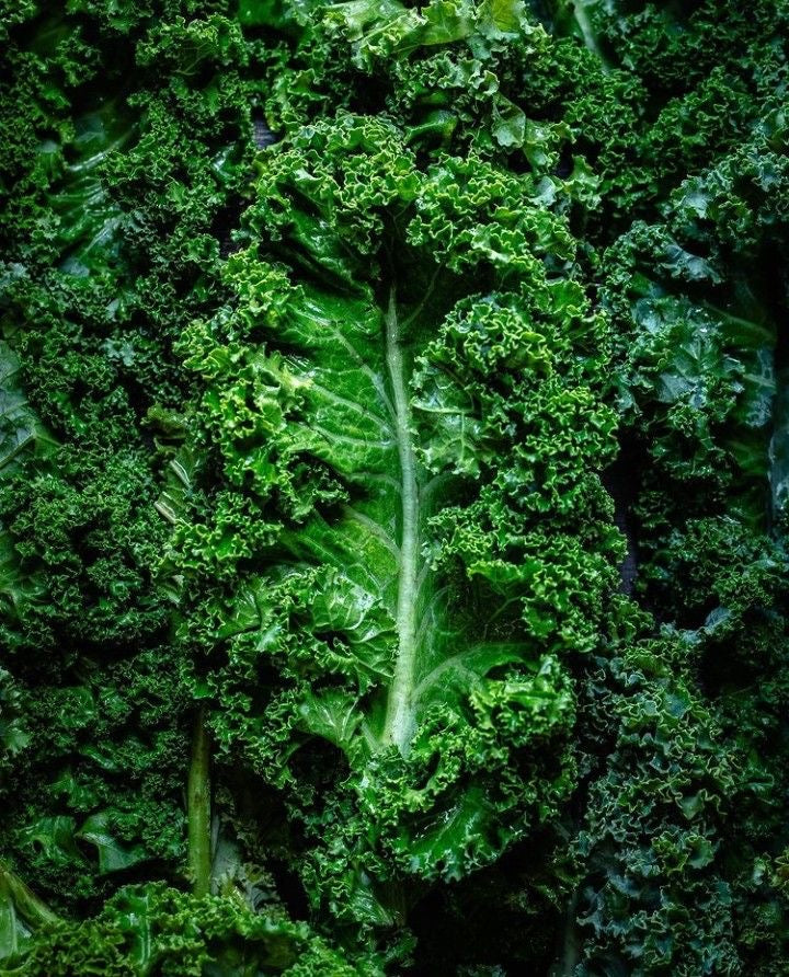 Chou Kale Vert (kg)