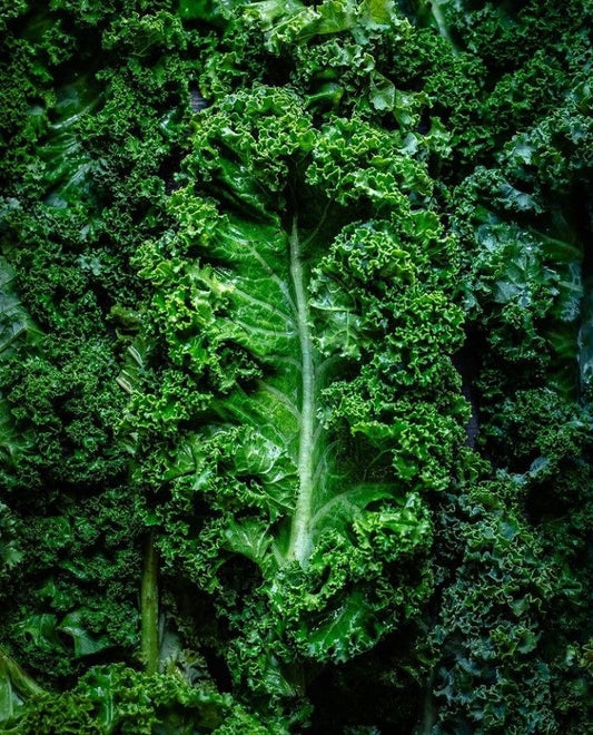 Chou Kale Vert (kg)