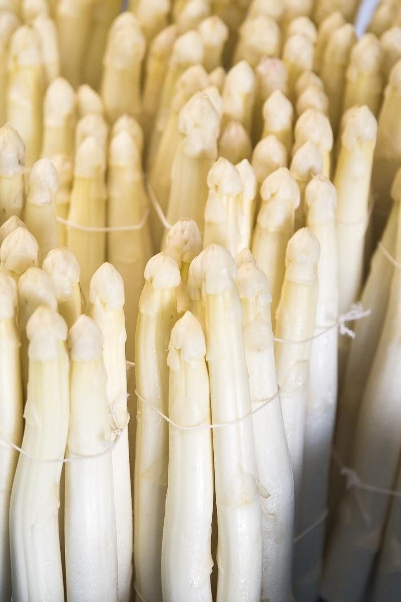 Asperge Blanche +22 (kg)