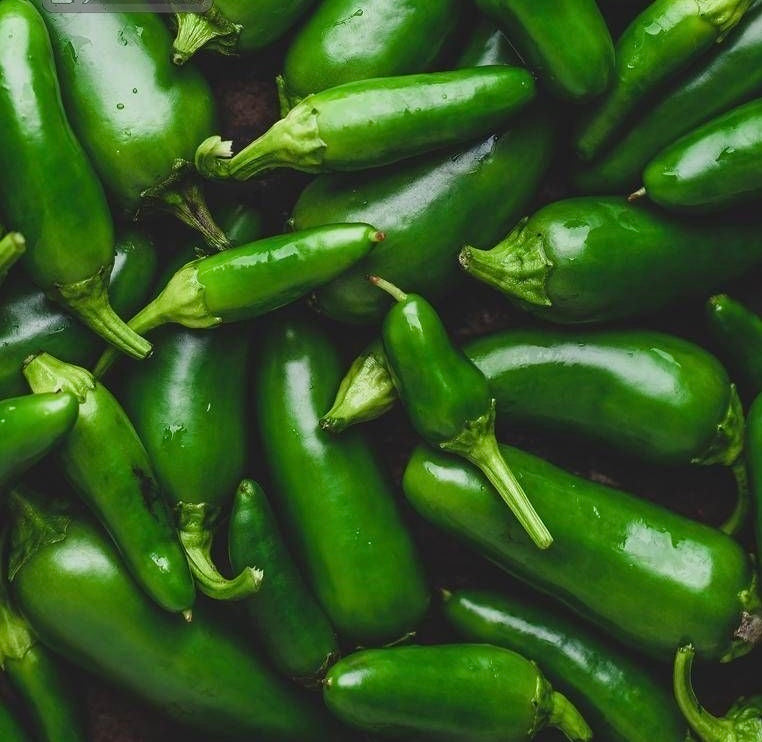 Piment Jalapeno Vert Imp(kg)