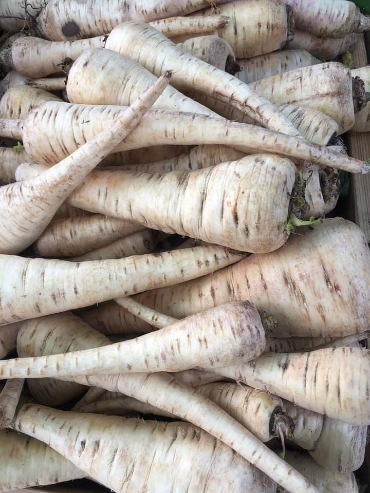 Panais Kg