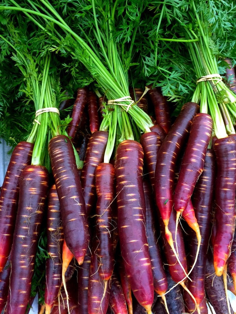 Carotte Violette (kg)