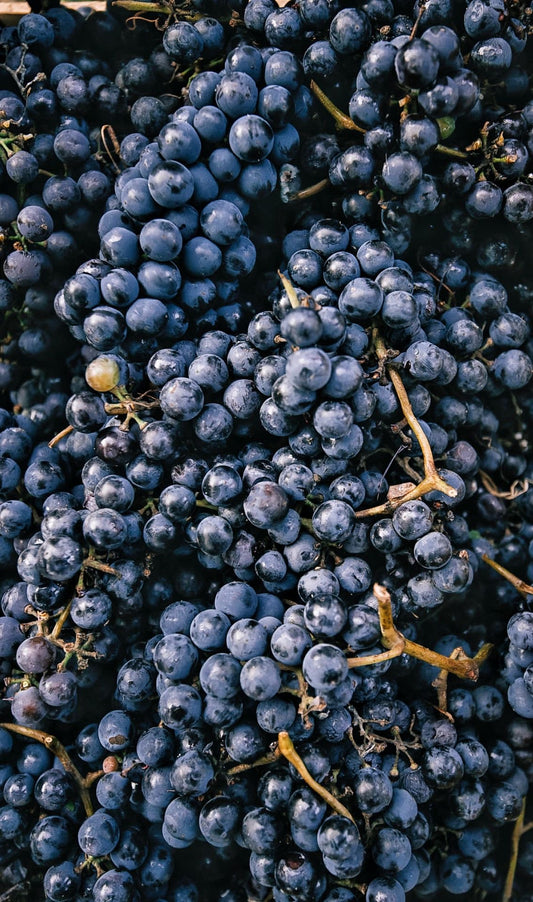 Raisin Noir sans pépin (kg)