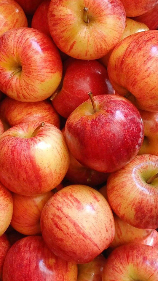 Pomme Royal Gala 70/75 2 Rangs (pièce)