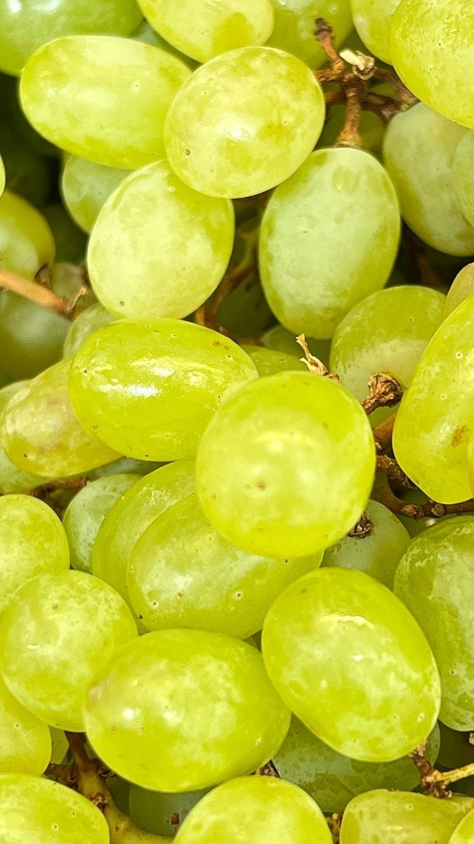 Raisin blanc sans pépins (kg)
