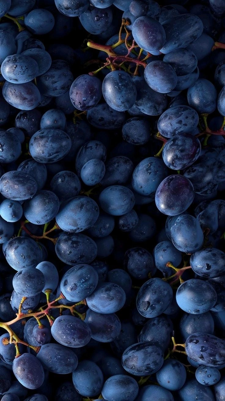 Raisin Noir Muscat Extra (kilo)