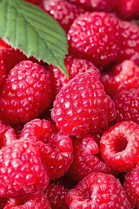 Framboise Tulameen France