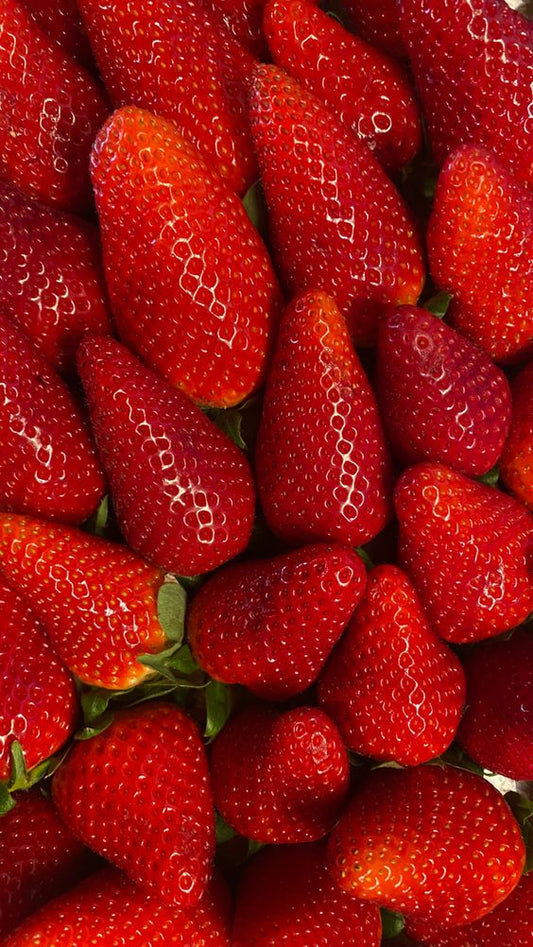 Fraise Ciflorette
