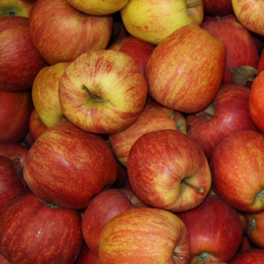 Pomme Royal Gala 70/75 2 Rangs